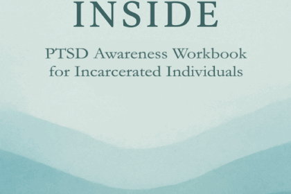 PTSD awareness workbook cover titled Healing Inside with a teal wave design